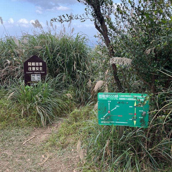 20260104_劍龍嶺3102313
