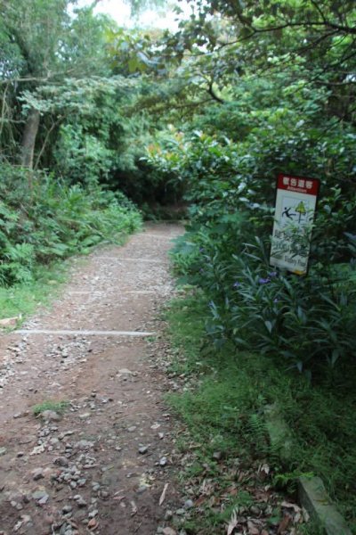 1031007硬漢嶺步道3098143