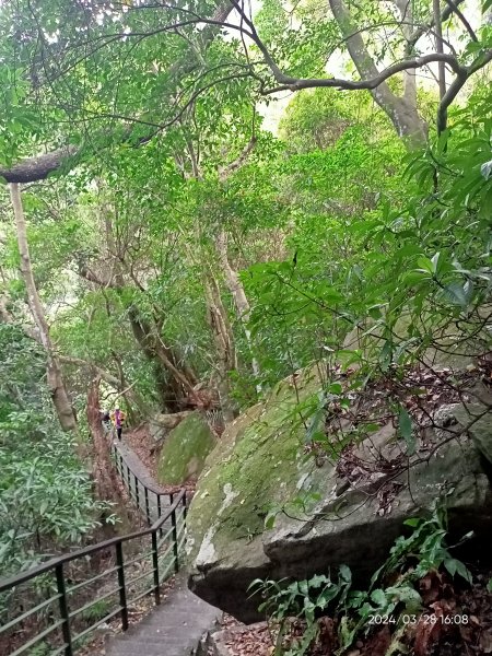 【臺北大縱走4】風櫃嘴→雙溪溝古道→五指山古道→大崙頭山北面步道→許願步道→圓覺寺步道→大溝溪→大湖2469145