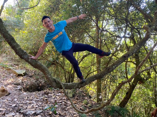 六龜美輪山【享受簡單純粹的登山樂趣】2415558