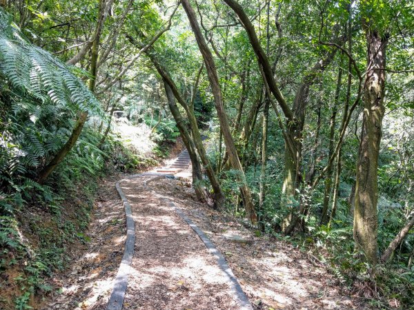 大崙頭尾親山步道走往大溝溪親水公園1430960