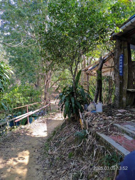 20250309 南觀音山步道 & 青春嶺2731494