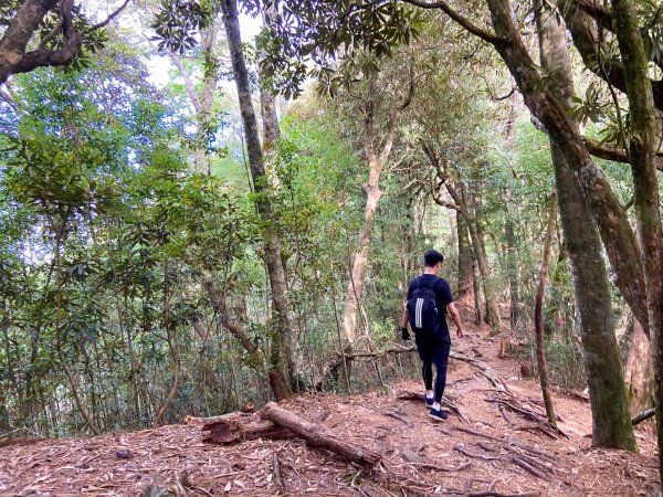 五訪台中鳶嘴山：拉繩挑戰陡峭岩壁785433