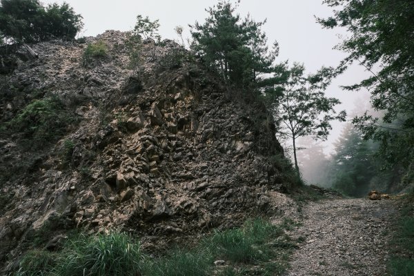 船型山林道(原名210林道)1759885