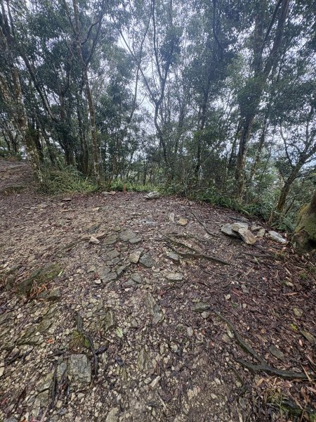 20251227尾寮山登山步道2970541