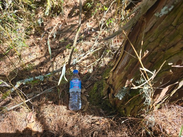 卓社大山〔武界栗栖溪登山口起登〕2748498