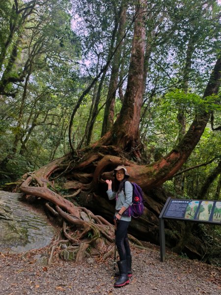 1130511夫拉縱走2500181