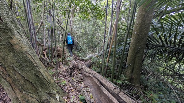 115.04.18寶山水庫+5連群峰之旅3039694