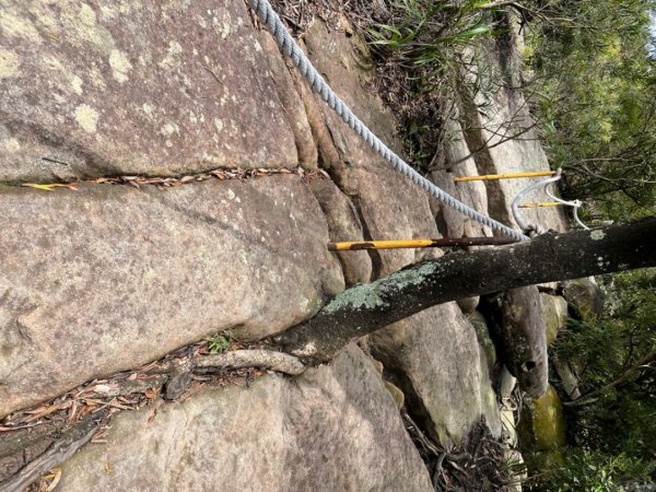 2021/11/13 金面山1518187