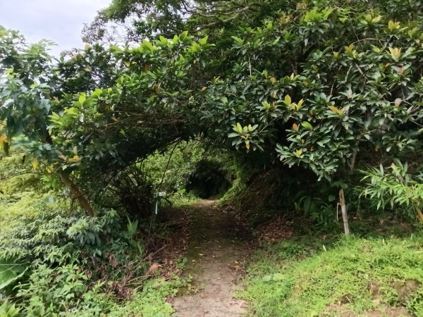 平溪區平溪子山遇雷雨O型2850082