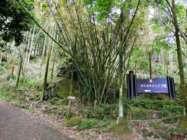 台南白河~台南第一高峰。 關仔嶺大凍山917809