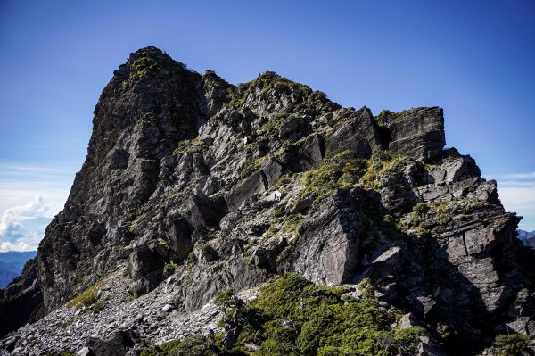 帝王之座-南湖主峰線｜南湖大山＋南湖南峰＋巴巴山2884965