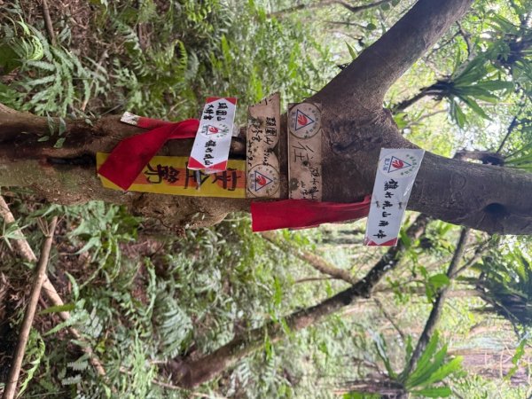 頭城火車站-頭圍山-礁水坑山南峰-礁水坑山-鶯子嶺2867047