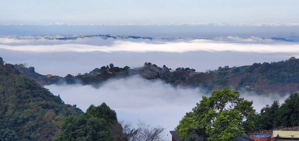 2022-01-08稍來山步道1576903