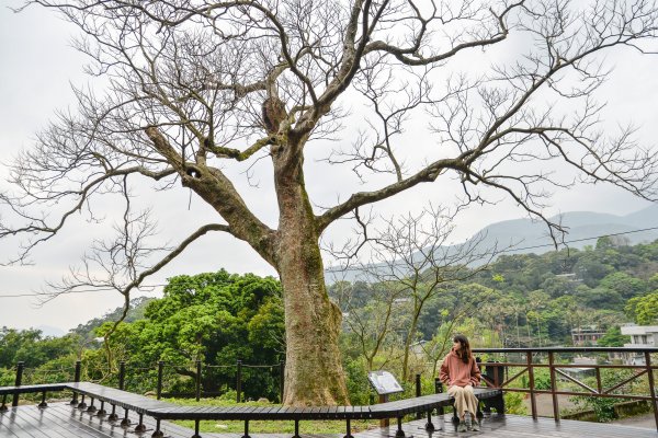 【新聞】春分時節遊湖山 田園聚落好風景