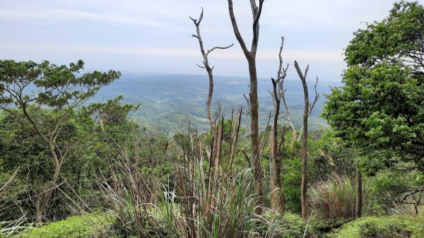 《苗栗》挑炭古道｜三通嶺探長潭坑山大坑尾山二連峰O繞202204171678405