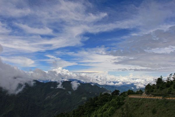合歡東峰賞花行222738