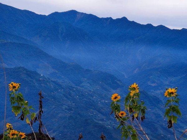 馬那邦山（珠湖登山口）2933938