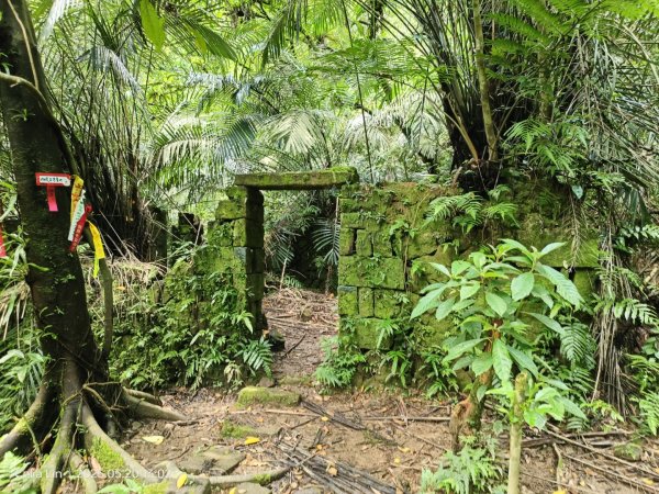 雙溪蝙蝠山-苕谷瀑布-麻竹坑山-梅竹蹊山2793953