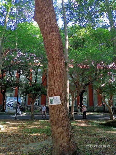 師大公園、師大本部 (國立臺灣師範大學和平校區) 【走路趣尋寶、健康大穀東】2298583