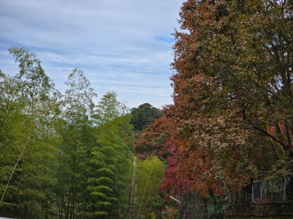 馬那邦山之雲海／雲瀑／楓紅／太陽琉璃光2676337