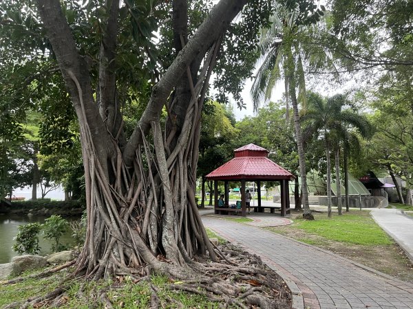 [全臺走路趣尋寶-25/100] 2024_0706_南瀛綠都心公園2546357
