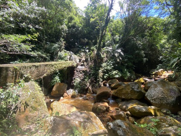 《陽明山秘境健行｜翠峰瀑布 × 天母古道 夏日涼爽路線》2852215
