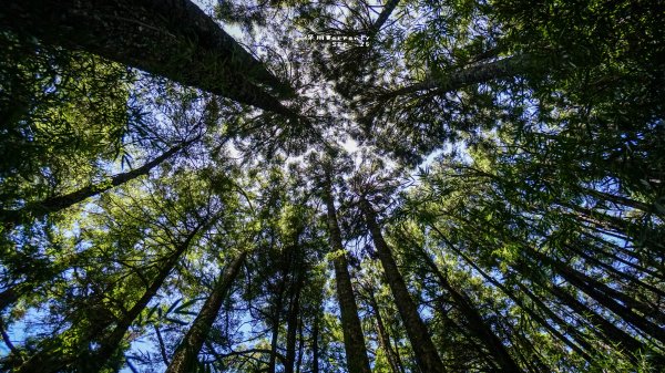 閂山之門.鈴鳴之鑰660254