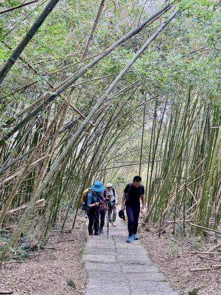 二尖.大尖山悠遊--好友再聚的茶園餘韻   2026.01.182985476