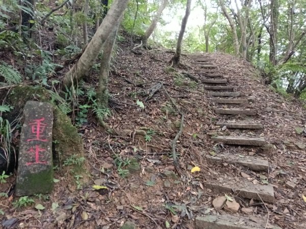 貢寮區大嶺古道+大石壁坑山+龍字碑+五酒桶山+龍崗山2948289