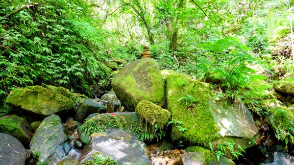 中坑古道東山西山2896477