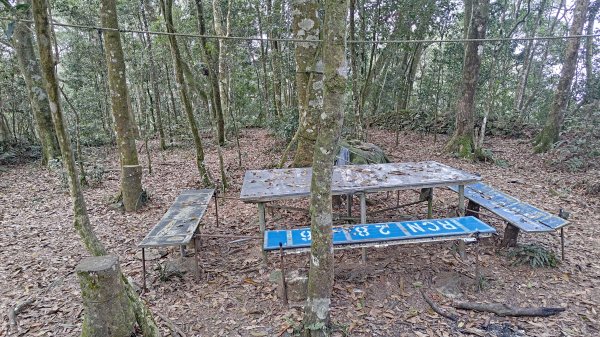 網子山、鳴海山3046436