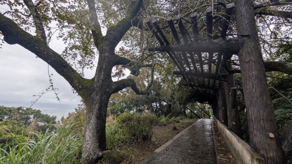 114.12.27尖山-40砲陣地之旅2971743