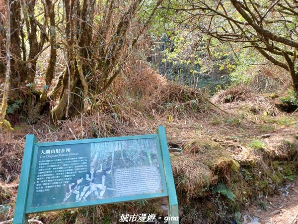 【高雄桃源】朝聖壯闊山景之南橫三星。 編號72百岳~塔關山登山步道2096661