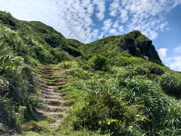 瑞芳區海園古道+鼻頭港稜+鼻頭山稜O型2872778