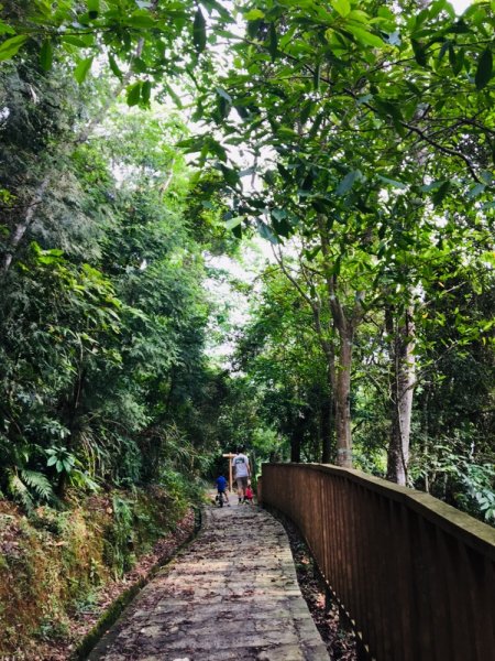 20190526貓仔們之銅鏡山林步道592345