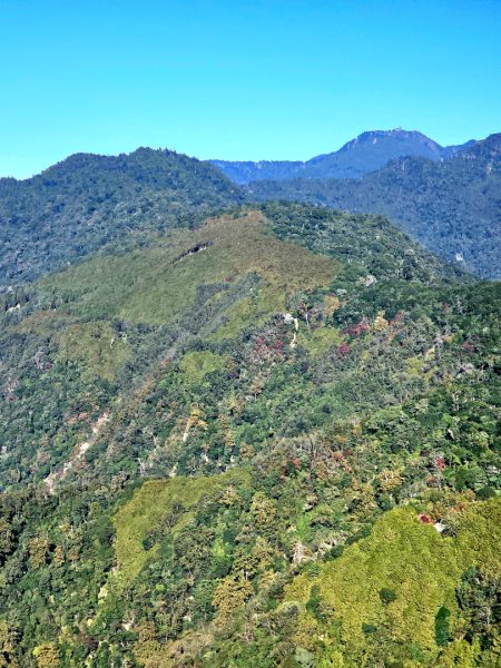 稍來山賞楓2962581