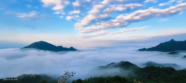 #樹梅坪 #金瓜石 12/102958908