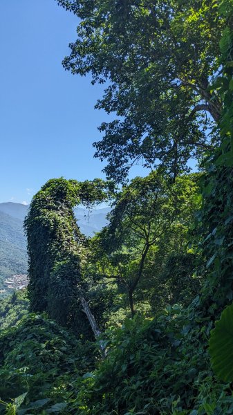 【屏步青雲】屏東山旅~尾寮山2650666