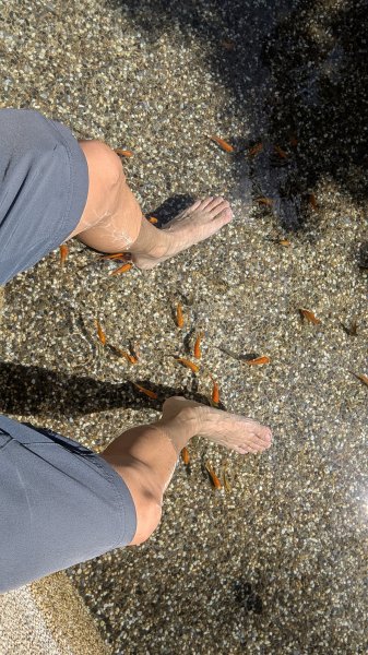 波津加山步道3012307