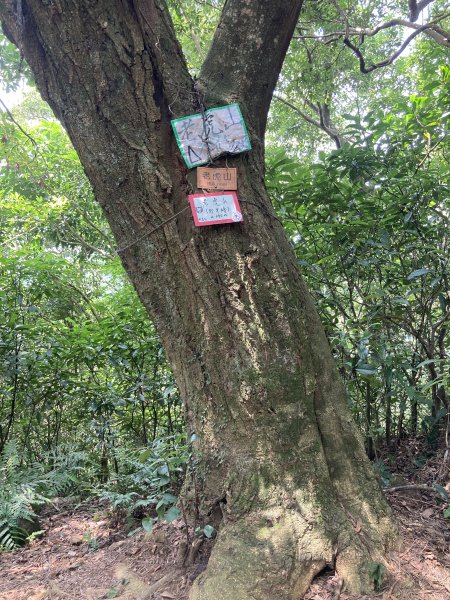 打牛崎古道2564041