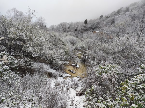 四川黃龍風景名勝區2935609