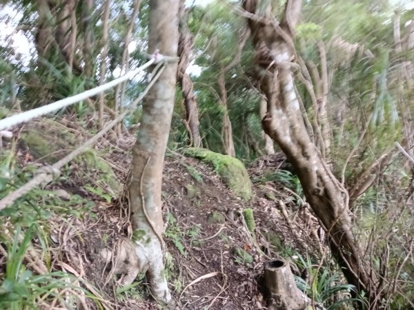 平溪區平溪子山遇雷雨O型2850151