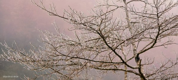 #太平山 #望洋山 #霧淞 1/222986036