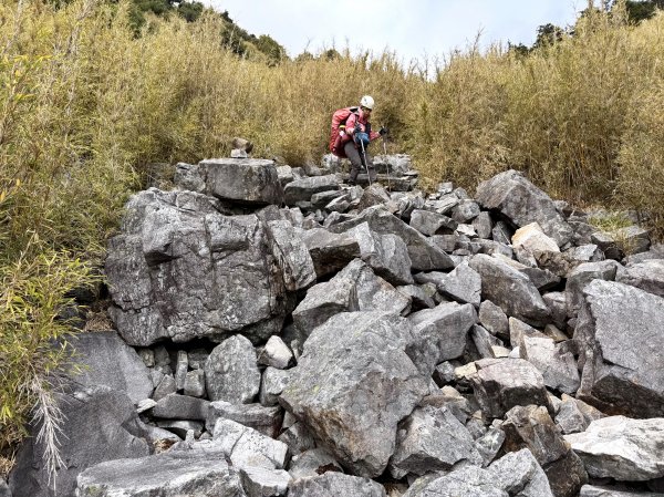 大眾運輸登 雪山西稜 (中雪山未竟) 2025/12/3~92970036