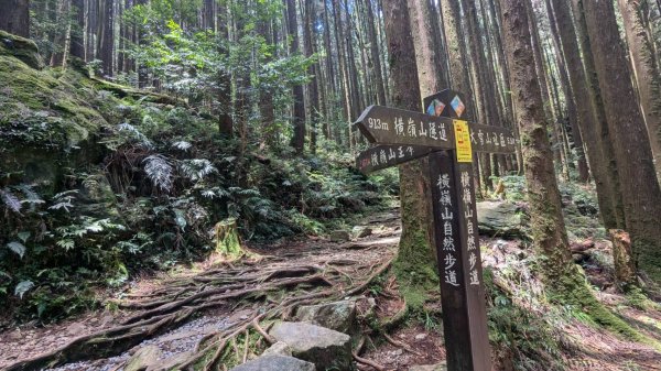 橫沙笛縱走 (木馬古道、橫嶺山、沙蓮山、笛吹山)2550371