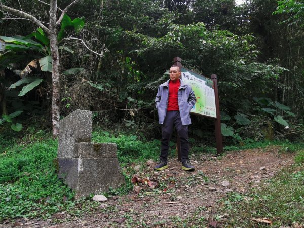 步道巡訪員 l 鳥嘴山步道11月巡訪日誌1161274