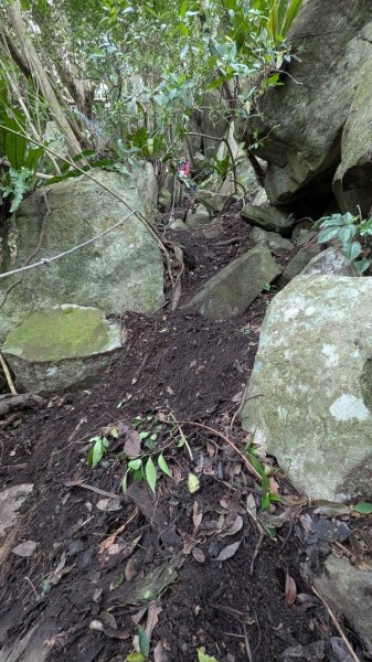 113.12.28小鷹尖-關山嶺-五八山-凌雲尖-龍女岩之旅2679373