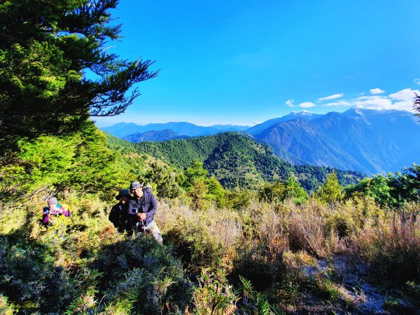 【塔塔加六山】眺望玉山最美稜線1234927