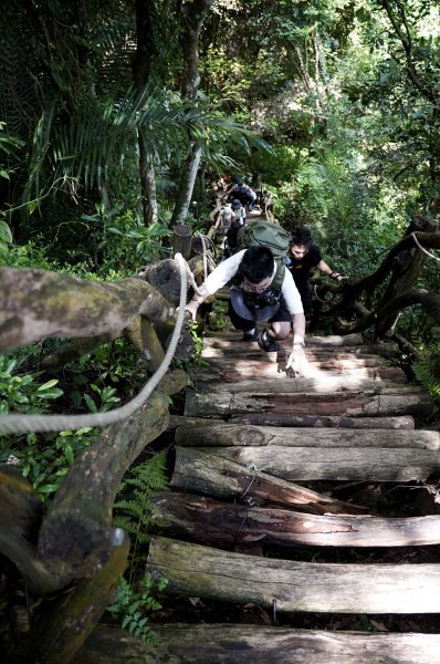大坑1號步道2865257